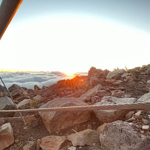 Meet your Posher, Noelle